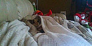 Dashia is registered to the contest to win money with this photo: