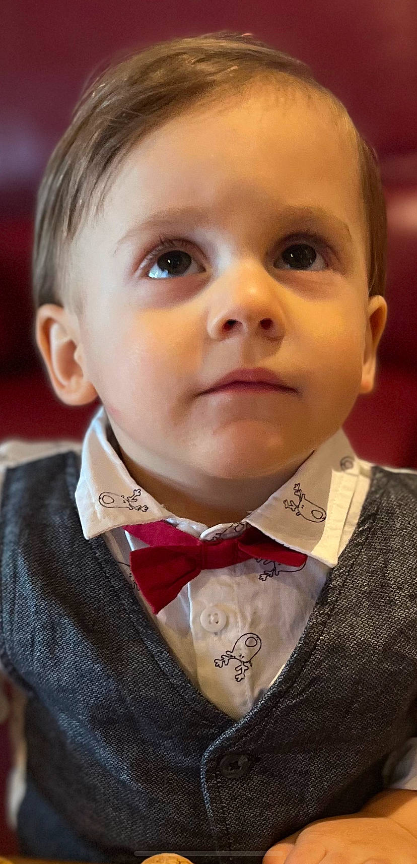 Joseph a rejoint le concours — aidez-le/la à gagner de superbes lots ! baby, baby_toddler_clothing, bow_tie, cheek, chin, collar, dress_shirt, ear, eyebrow, eyelash, formal_wear, iris, jaw, lip, mouth, no_expression, nose, person, skin, sleeve