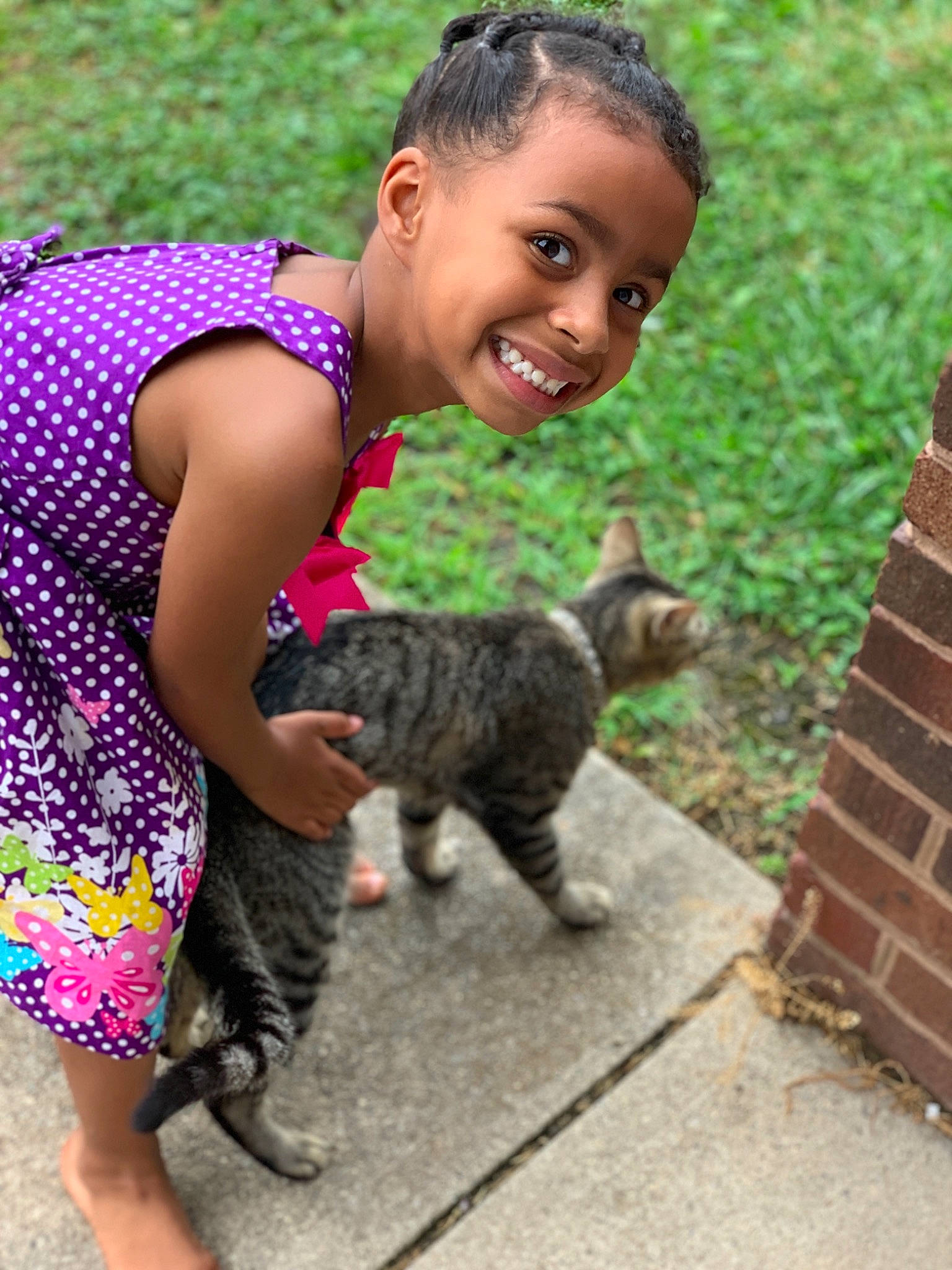 Lamiya is registered to the contest to win money with this photo: carnivore, cat, child, felidae, grass, joy, organism, person, plant, play, small_to_medium_sized_cats, toddler, vacation