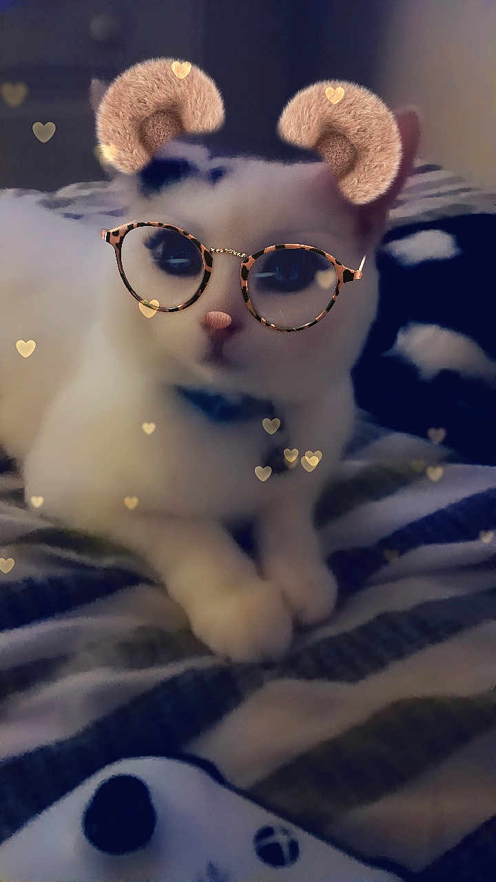 Gizmo