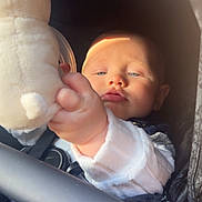 Louie joined the competition — help win amazing prizes! baby, child, plush_toy, hand, face, blue_eyes, sunlight, stroller, clothing, white_sleeve, soft_toy, infant, portrait, cute, close_up, indoor, seat_belt, zipper, fabric, curious