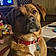 Hank