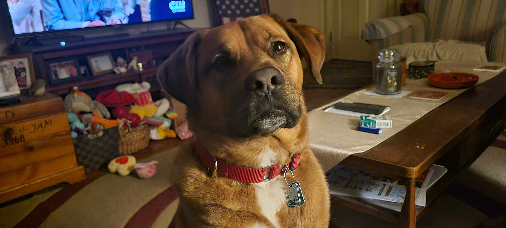 Hank