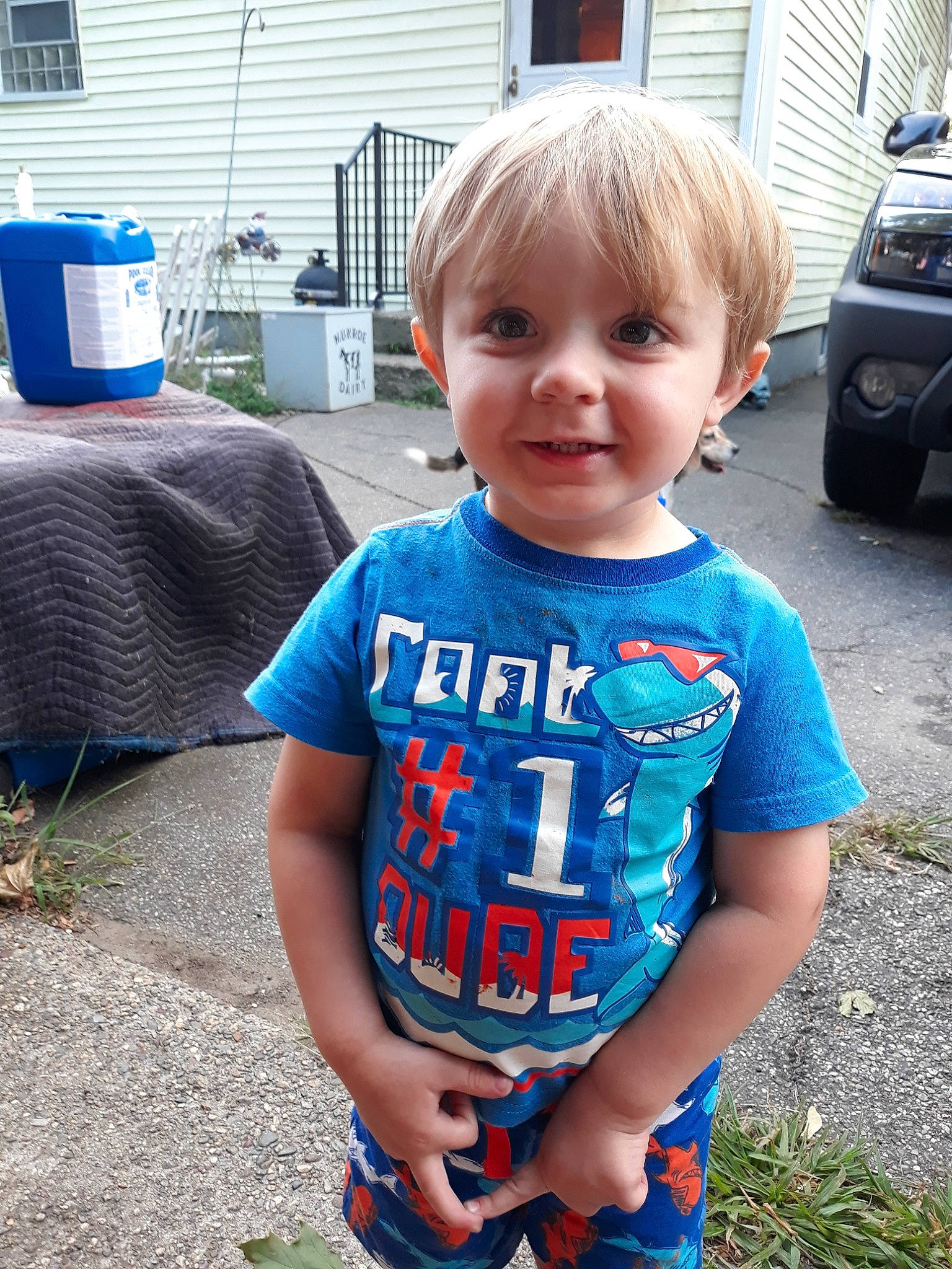 Stephen is registered to the contest to win money with this photo: baby, baby_toddler_clothing, car, child, cool, face, head, joy, male, people, person, plant, play, sleeve, smile, summer, t_shirt, toddler, vacation, vehicle