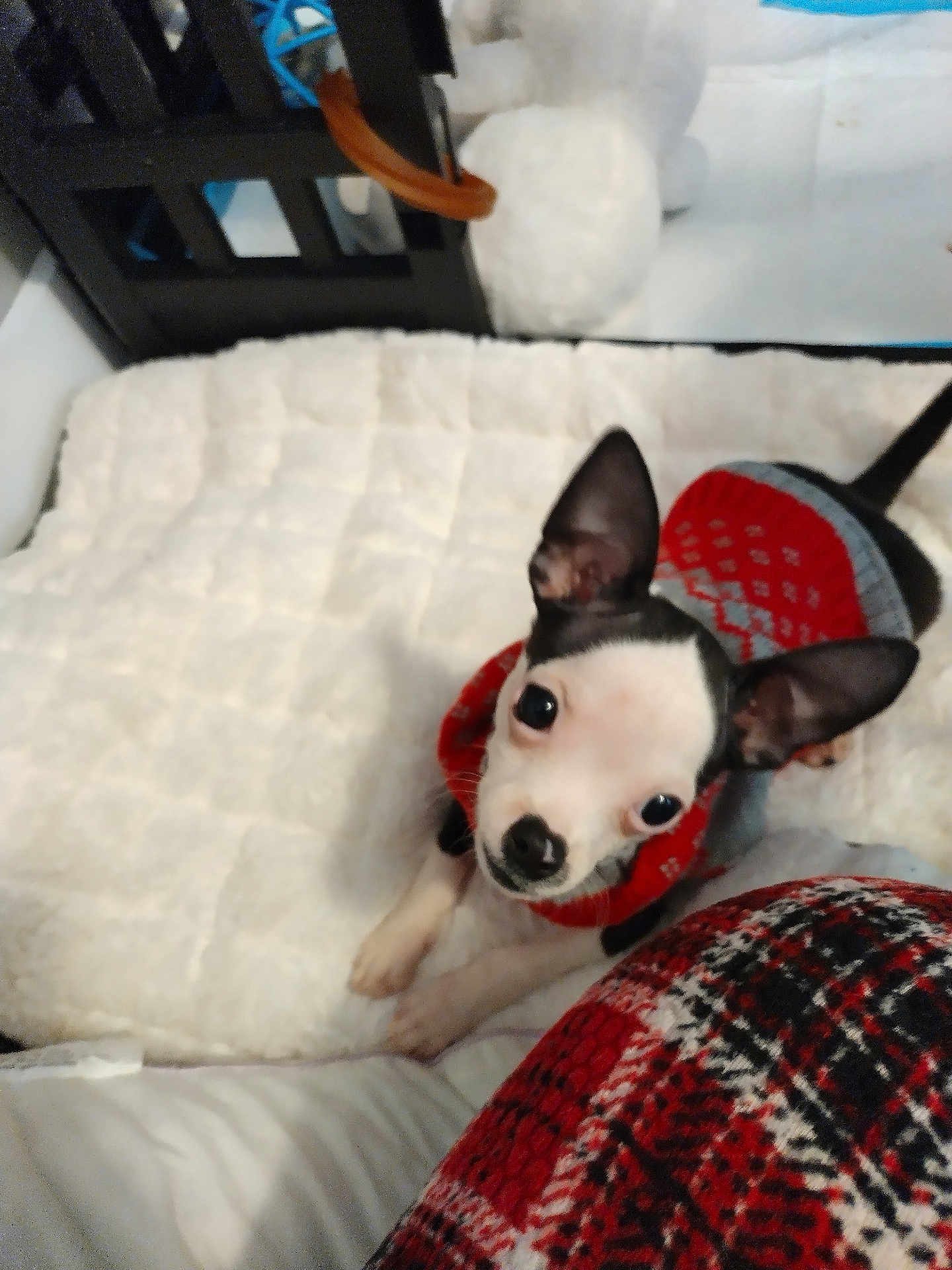 Munchkin