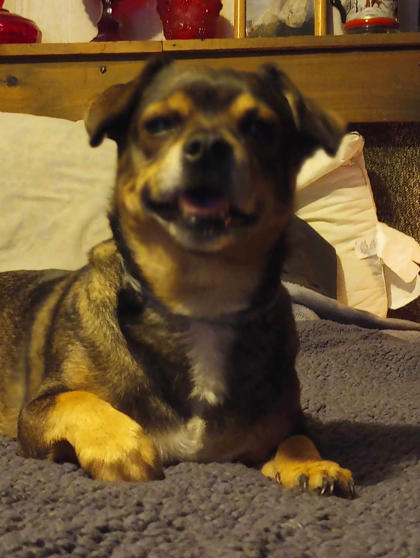 Sammy