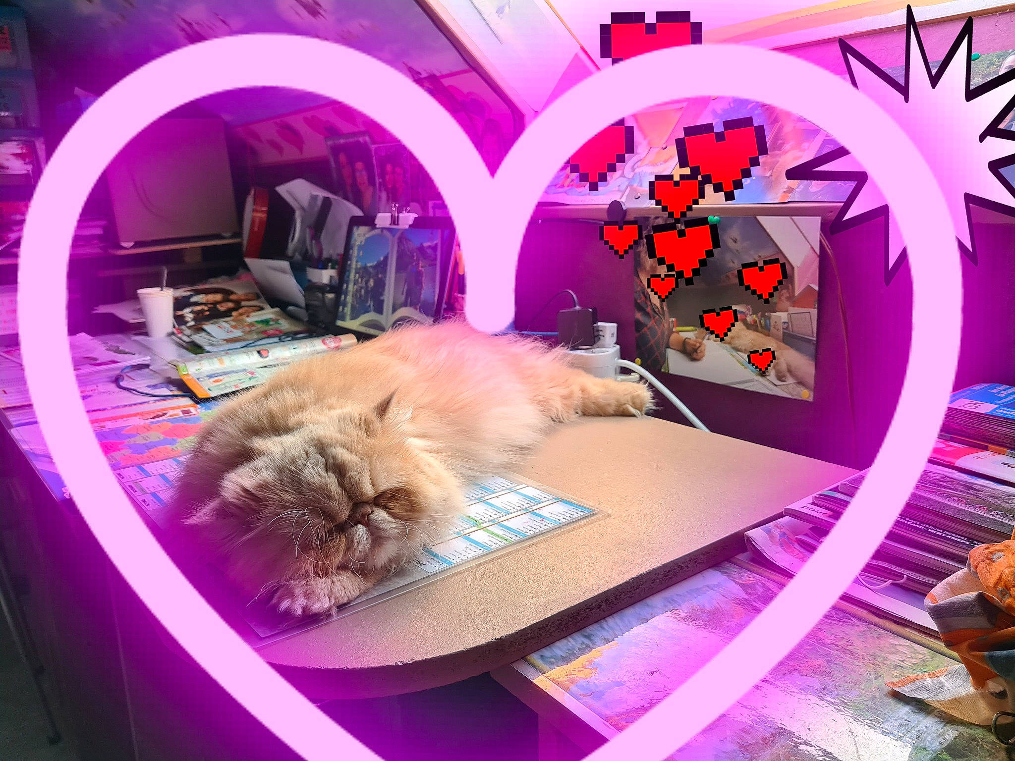 Floppy participe au concours pour gagner de l'argent avec cette photo : art, carnivore, cat, comfort, fawn, felidae, fur, graphics, interior_design, magenta, mammal, organism, pet_supply, pink, purple, recreation, room, small_to_medium_sized_cats, violet, whiskers