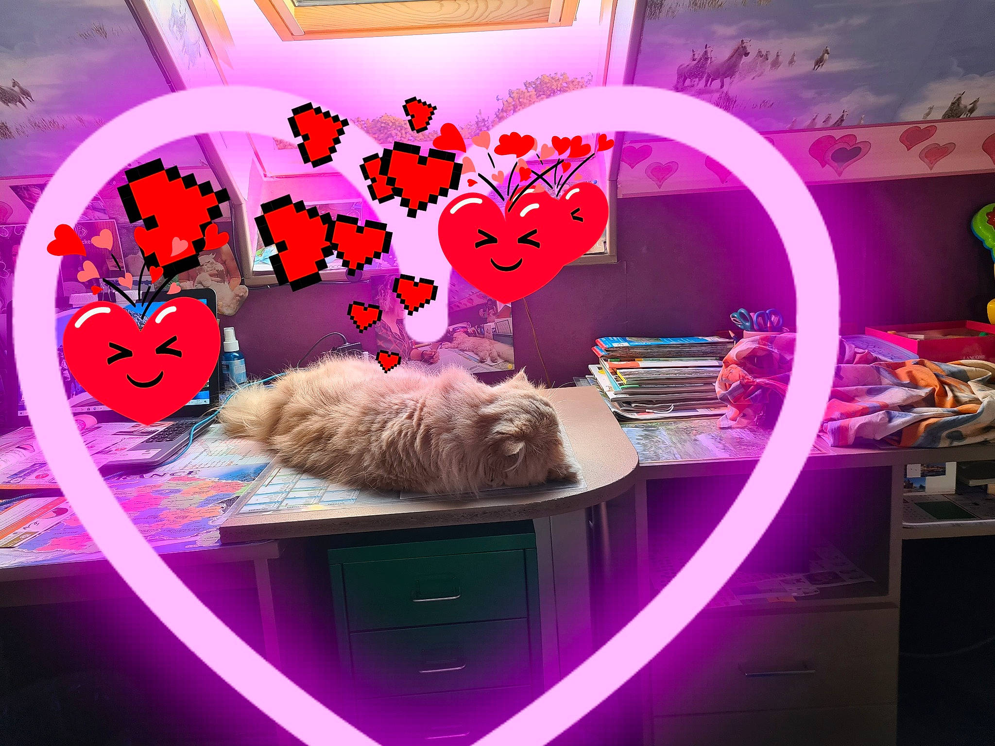 Floppy participe au concours pour gagner de l'argent avec cette photo : butterfly, carnivore, cat, fawn, felidae, font, interior_design, light, magenta, organism, photograph, pink, plant, purple, red, small_to_medium_sized_cats, violet, wall, whiskers, window