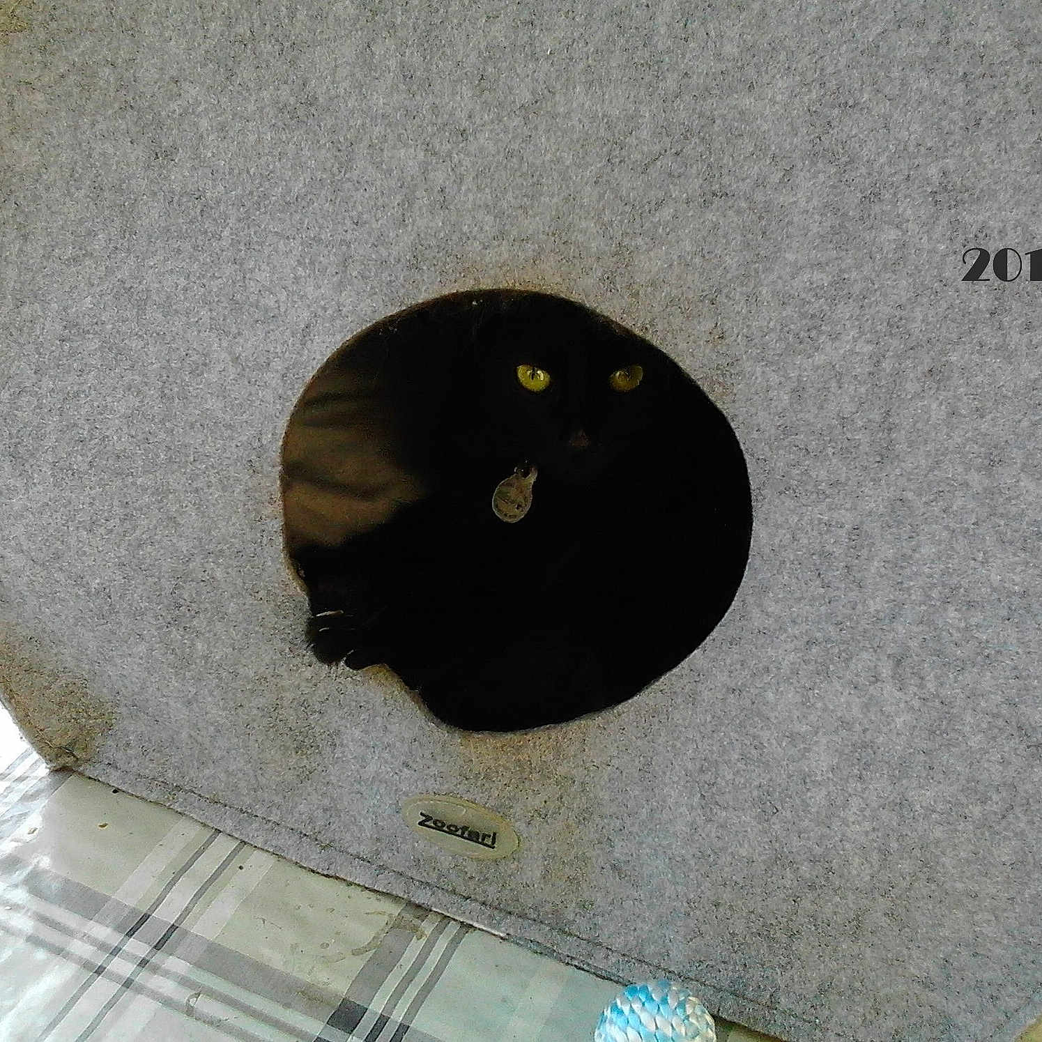 Seccotine participe au concours pour gagner de l'argent avec cette photo : animal, black_cat, cat, cat_house, circular_hole, collar, cozy, curious, feline, felt, indoor, peeking, pet, plaid, quiet, resting, shadow, tag, toy, yellow_eyes