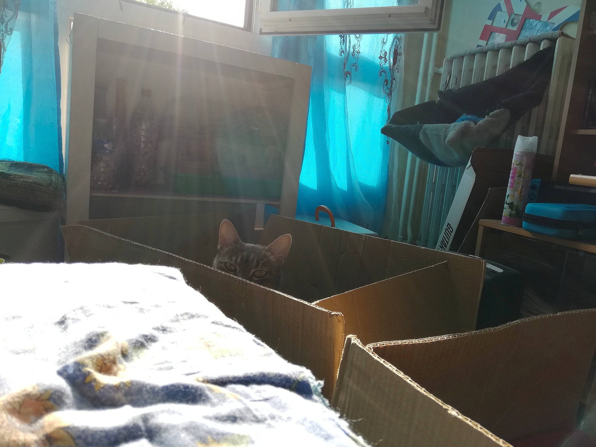 La Grisette a rejoint le concours — aidez-le/la à gagner de superbes lots ! furniture, interior_design, room