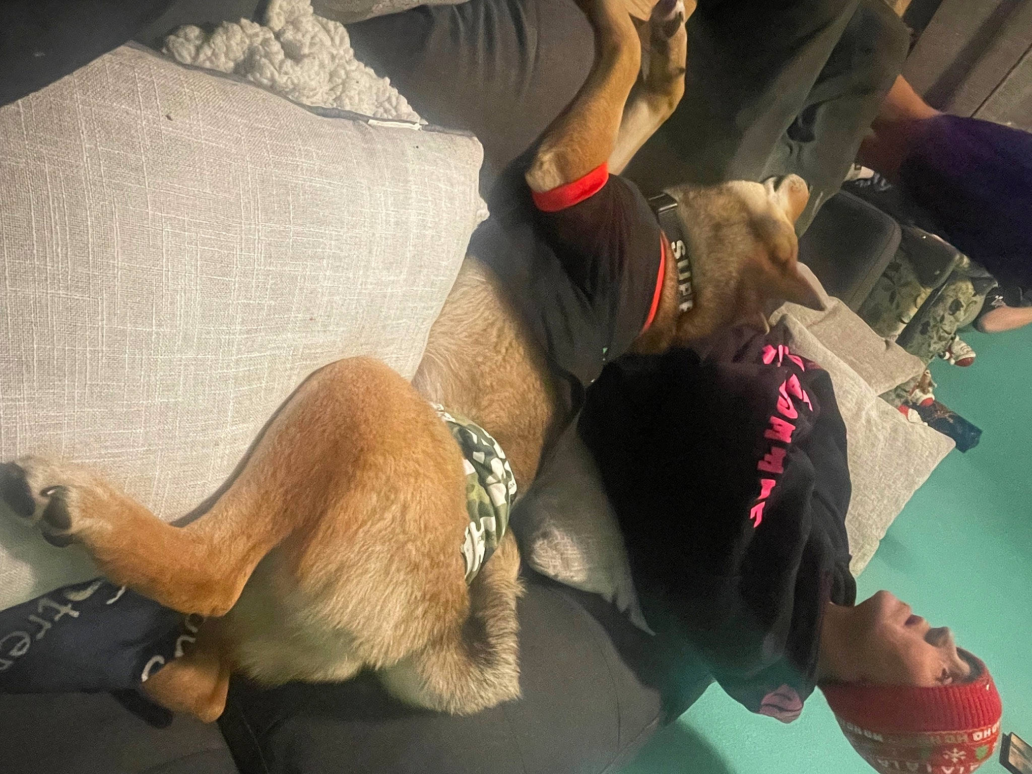 Elijah is registered to the contest to win money with this photo: barechested, bracelet, carnivore, chest, dog_breed, elbow, eyewear, fashion_accessory, fictional_character, fun, fur, human_leg, jewellery, knee, personal_protective_equipment, recreation, sportswear, suit, thigh, wrist