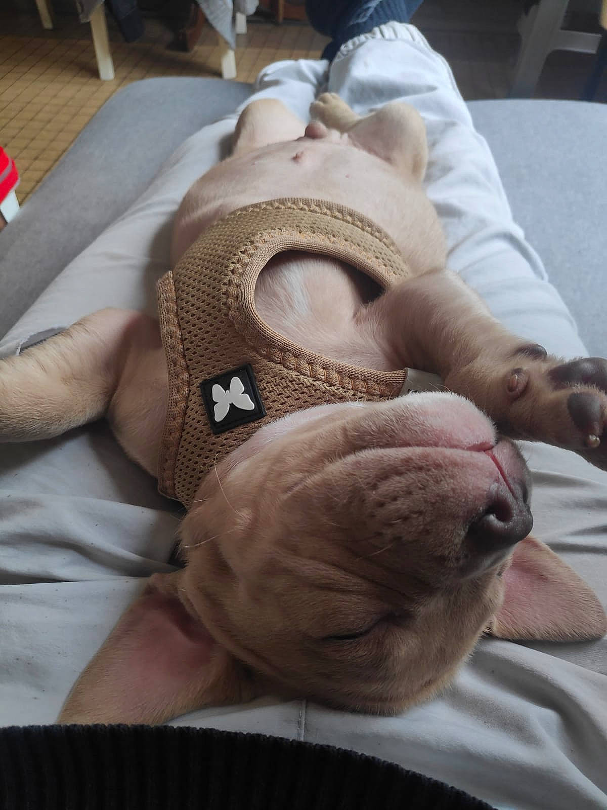 Ruben participe au concours pour gagner de l'argent avec cette photo : abdomen, baby, chest, childbirth, comfort, fur, hat, health_care, hospital, human_leg, knee, linens, medical, nail, patient, personal_protective_equipment, service, skin, wool, wrinkle