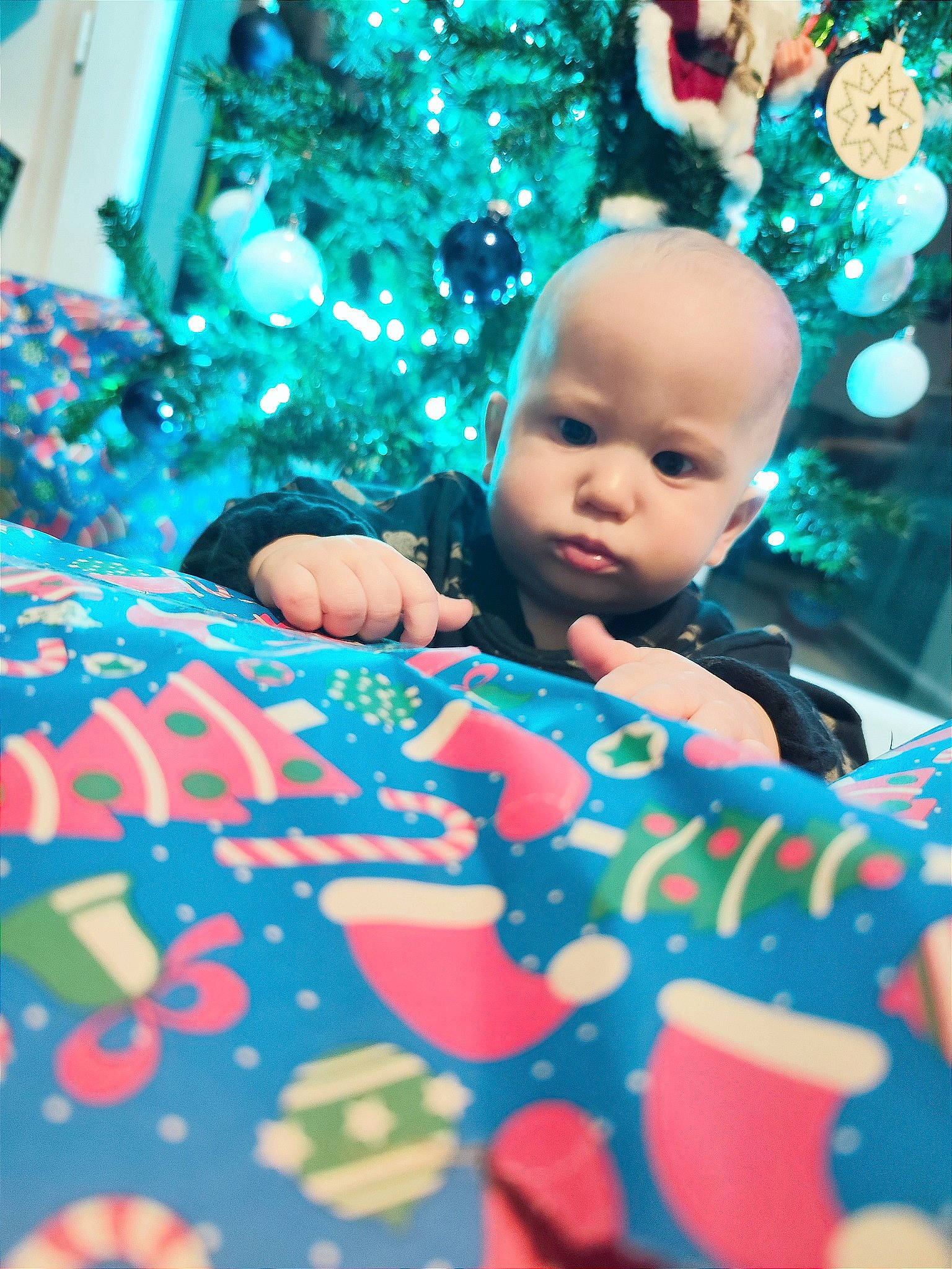 Alesio participe au concours pour gagner de l'argent avec cette photo : baby, baby_toddler_clothing, child, christmas_eve, christmas_ornament, christmas_tree, electric_blue, event, facial_expression, fun, grass, green, happy, holiday, leisure, ornament, pattern, person, play, toddler