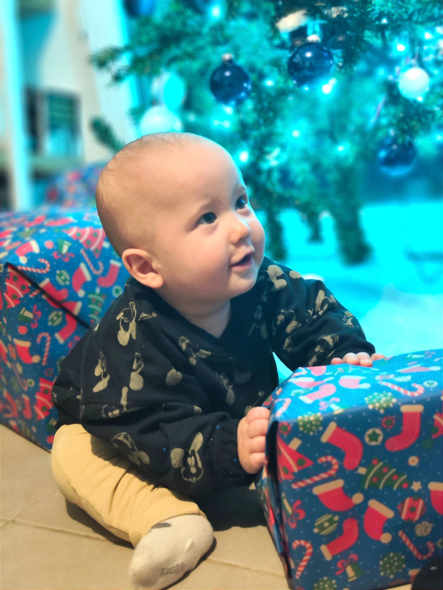 Alesio participe au concours pour gagner de l'argent avec cette photo : baby, baby_toddler_clothing, child, event, flooring, fun, grass, happy, head, holiday, leisure, pattern, person, plant, room, sitting, smile, toddler, tree, vacation