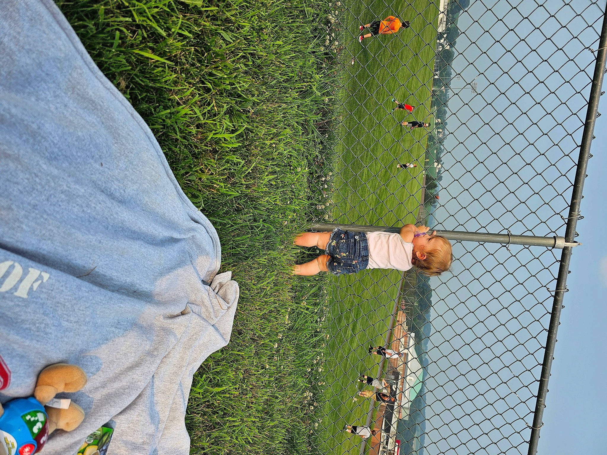 Izabella is registered to the contest to win money with this photo: adventure, competition_event, fun, grass, grass_family, green, landscape, leisure, mesh, nature, net, people_in_nature, person, plant, player, recreation, rock_climbing_equipment, sky, sport_climbing, sports