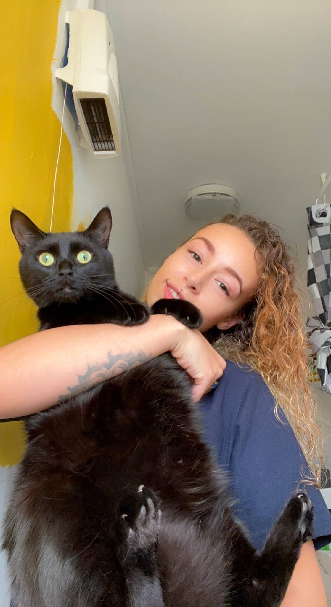 Lucifer joined the competition — help win amazing prizes! beauty, black_cat, black_hair, bombay, carnivore, cat, domestic_short_haired_cat, ear, event, felidae, formal_wear, fur, gesture, happy, iris, sitting, skin, small_to_medium_sized_cats, smile, whiskers