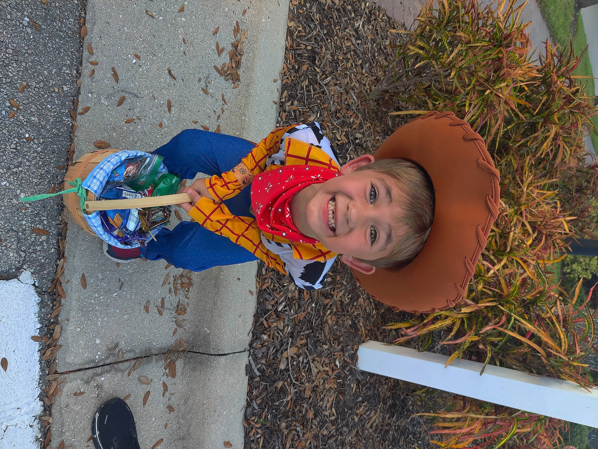 Killian is registered to the contest to win money with this photo: adaptation, child, concrete, electric_blue, fun, grass, hat, joy, lawn_ornament, leisure, people_in_nature, person, plant, soil, toddler, wood