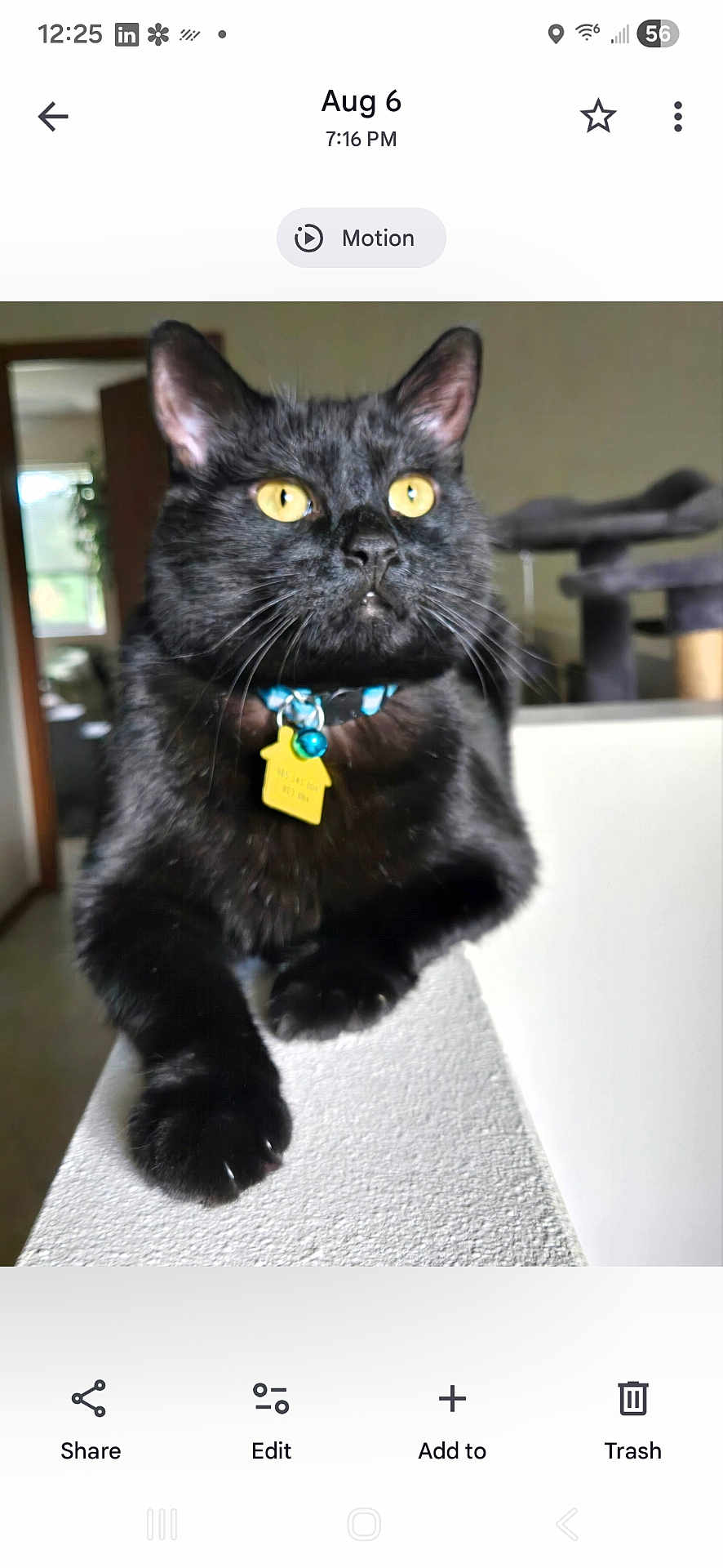 Atari