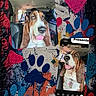 animal, basset_hound, canine, car_interior, closeup, collage, colorful, dog, funny, graffiti, heart_shape, paw_prints, pet, playful, portrait, seat, text_overlay, tongue_out, vehicle, window