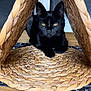 black_cat, cat, yellow_eyes, woven_basket, wooden_table, indoor, pet, animal, feline, resting, close_up, domestic_cat, looking_at_camera, table_mat, home_interior, chair, quiet, natural_light, texture, relaxing
