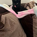 Sorcha B.