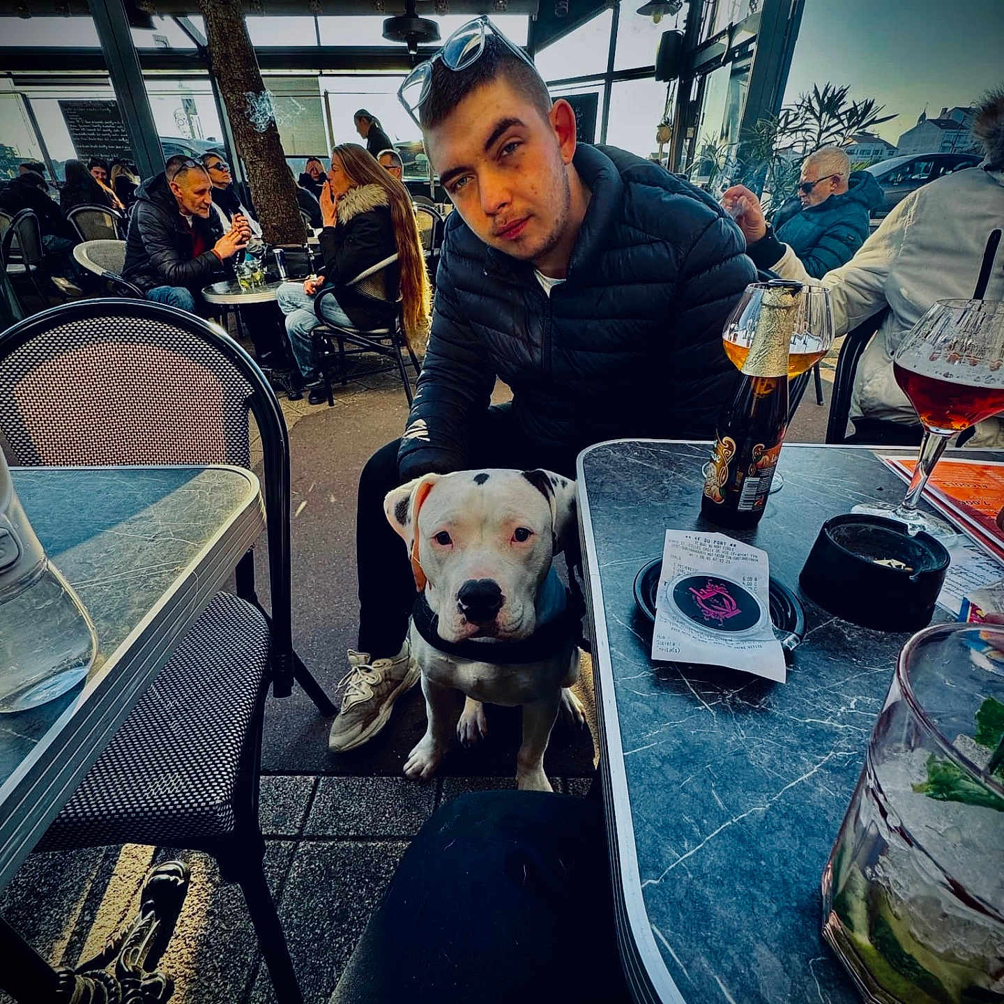 Vins participe au concours pour gagner de l'argent avec cette photo : animal, architecture, building, cafe, canine, diningroom, diningtable, dog, face, furniture, head, indoors, outdoors, person, photography, portrait, restaurant, room, shelter, table