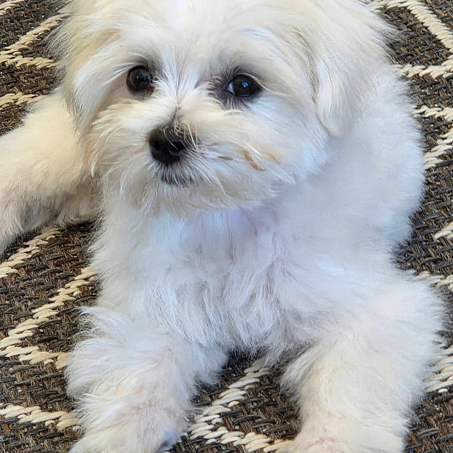 Billy