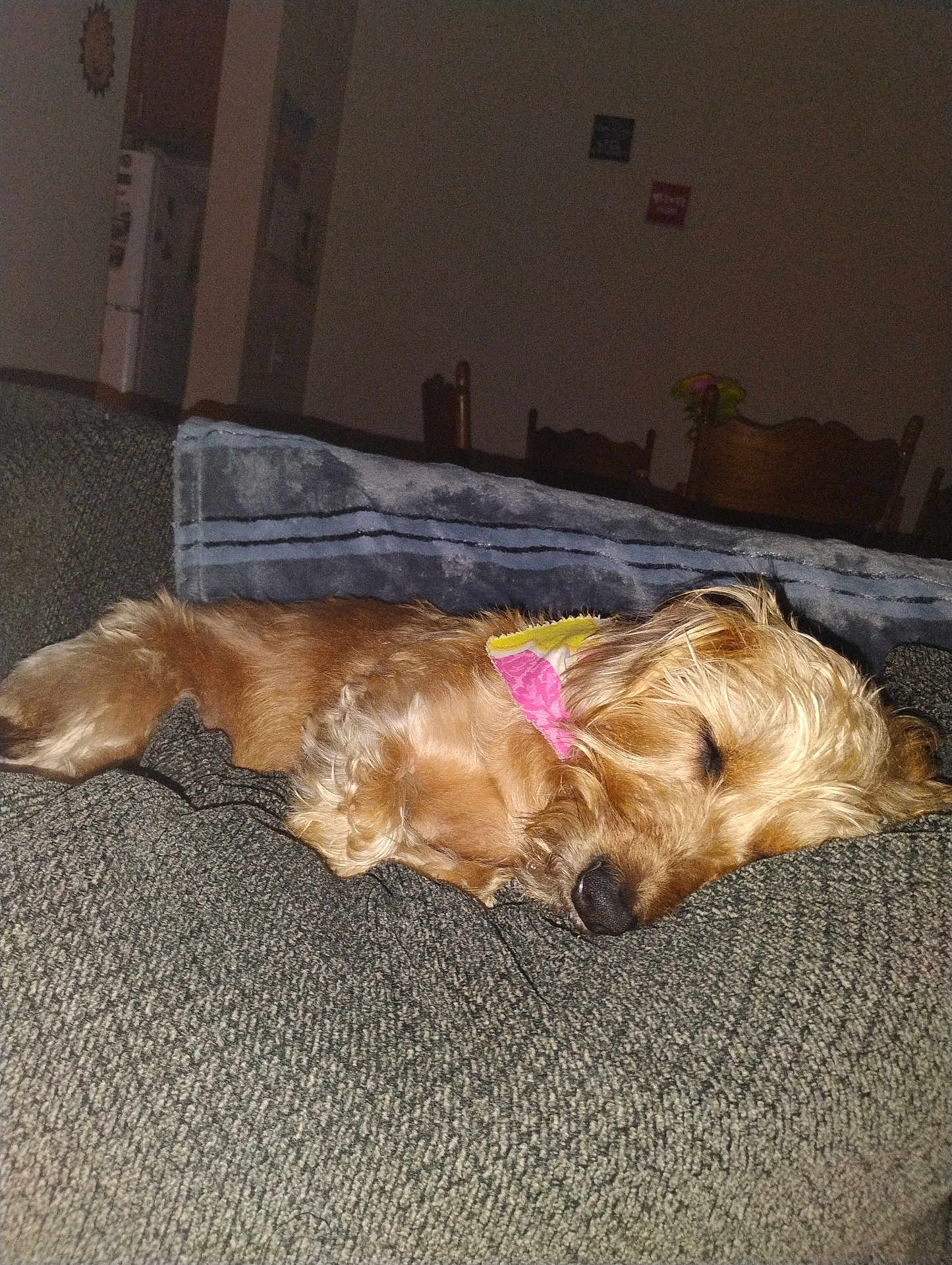 Roxy