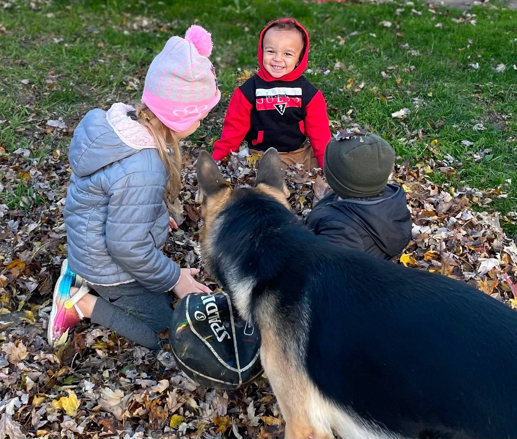 Dj joined the competition — help win amazing prizes! adventure, carnivore, dog, dog_breed, dog_hiking, fun, grass, hat, joy, landscape, leisure, mammal, people_in_nature, person, photograph, recreation, smile, soil, toddler, vertebrate