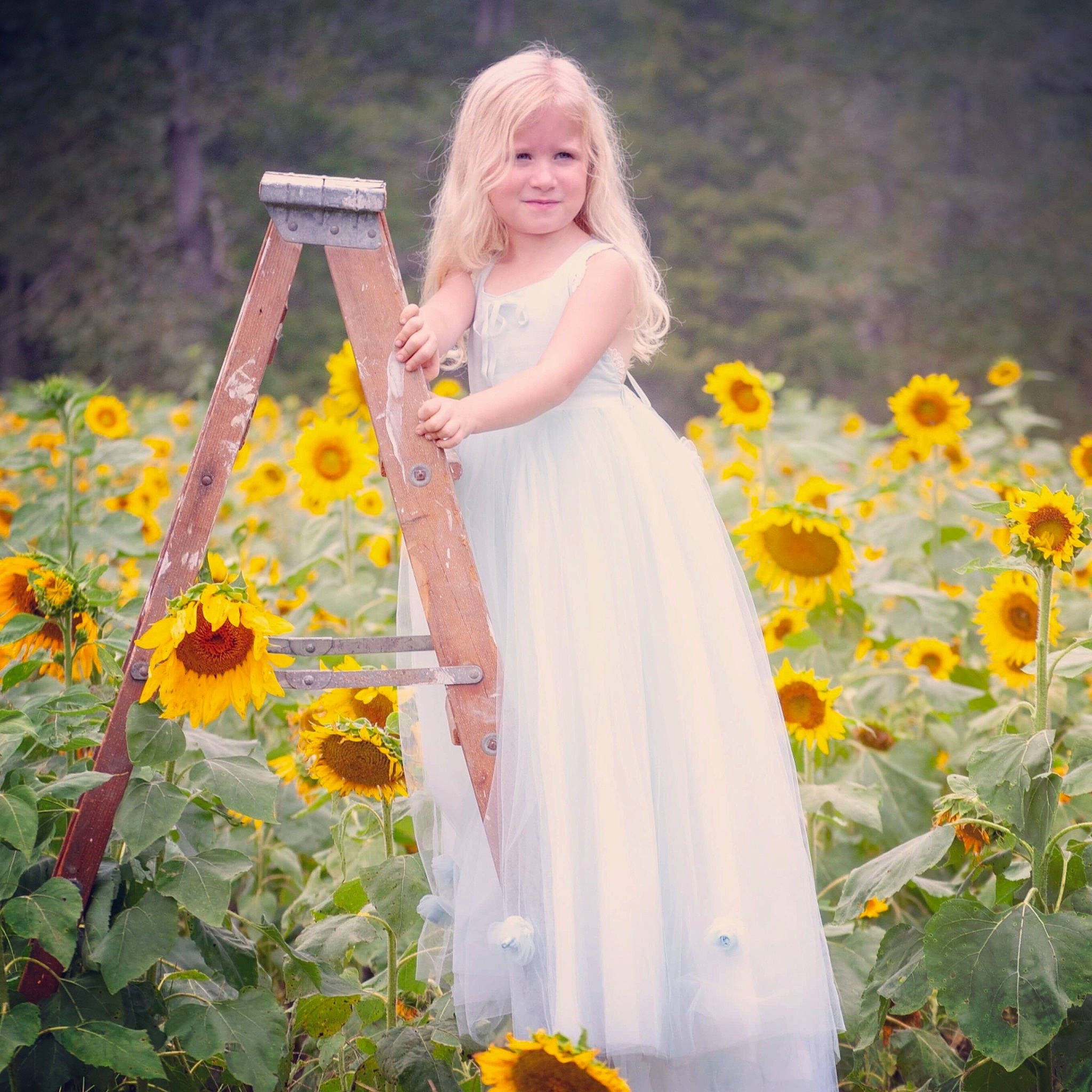 Taelynn joined the competition — help win amazing prizes! beauty, blond, bridal_clothing, bride, dress, eye, flower, flower_girl, happy, people_in_nature, person, photograph, photography, plant, spring, summer, sunflower, wedding_dress, wildflower, yellow