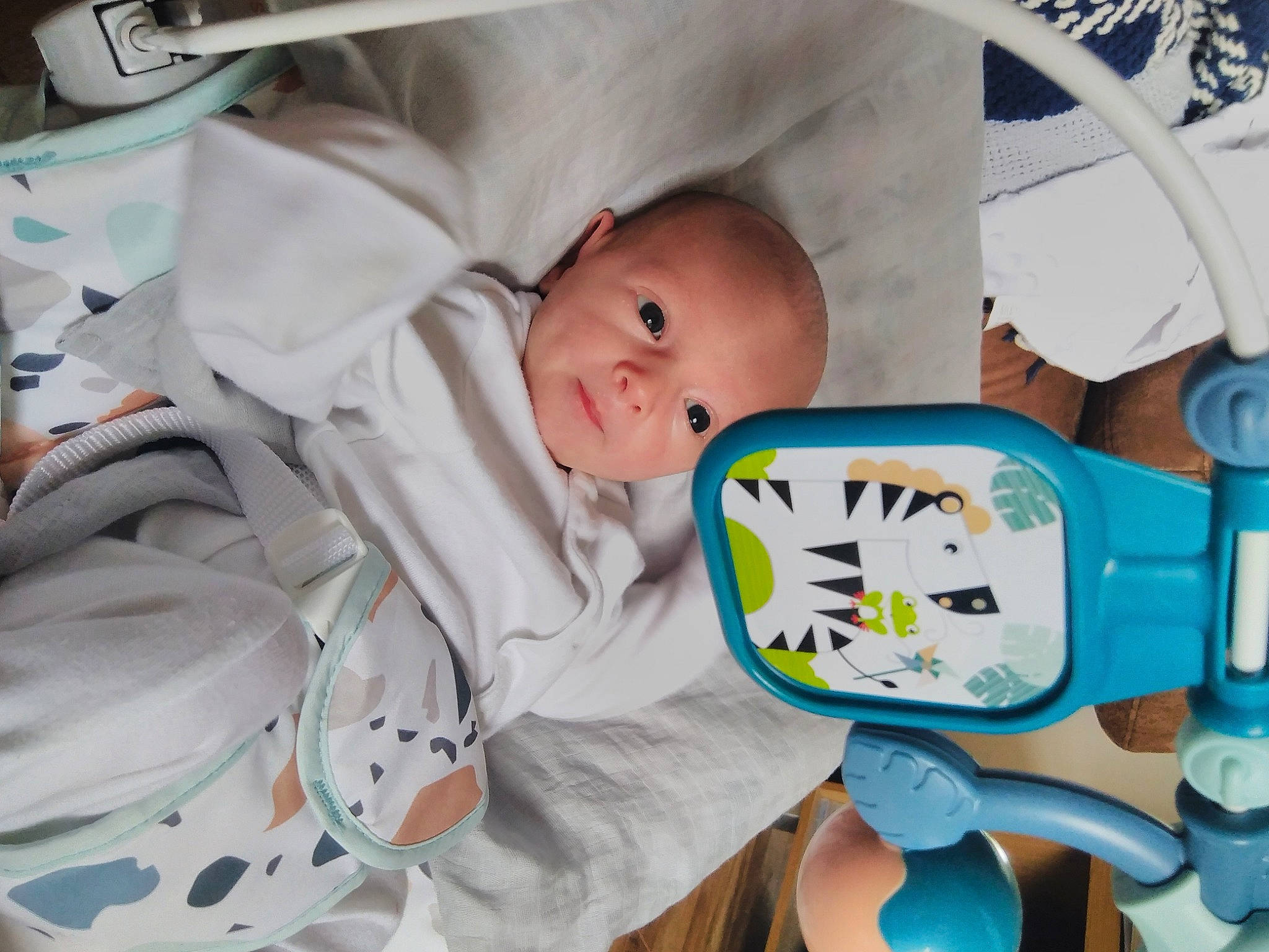 Lyra joined the competition — help win amazing prizes! art, baby, baby_products, baby_safety, baby_toddler_clothing, child, clock, comfort, event, linens, person, plastic, product, room, service, toddler, white