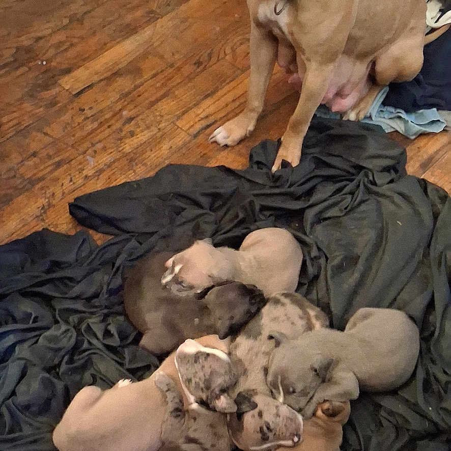 Mini-me