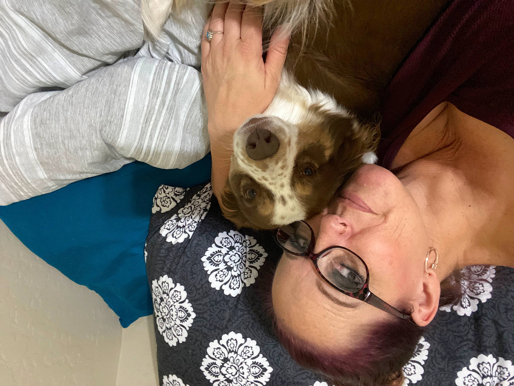 Anastasia is registered to the contest to win money with this photo: carnivore, companion_dog, dog_breed, ear, eye, eyewear, fawn, felidae, gesture, glasses, goggles, happy, jewellery, skin, small_to_medium_sized_cats, snout, sunglasses, toy_dog, vision_care, whiskers