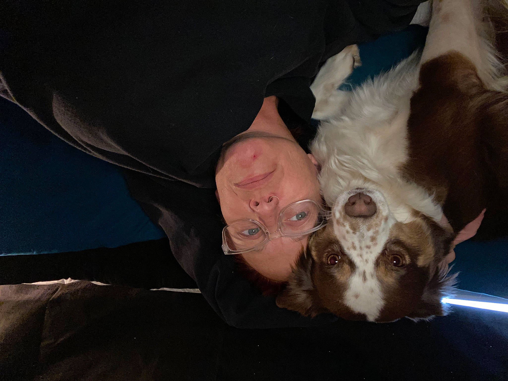 Anastasia joined the competition — help win amazing prizes! beard, canidae, carnivore, companion_dog, dog, dog_breed, ear, eyewear, facial_hair, fawn, fur, gesture, jaw, nose, snout, sporting_group, toy_dog, whiskers, working_animal, wrinkle