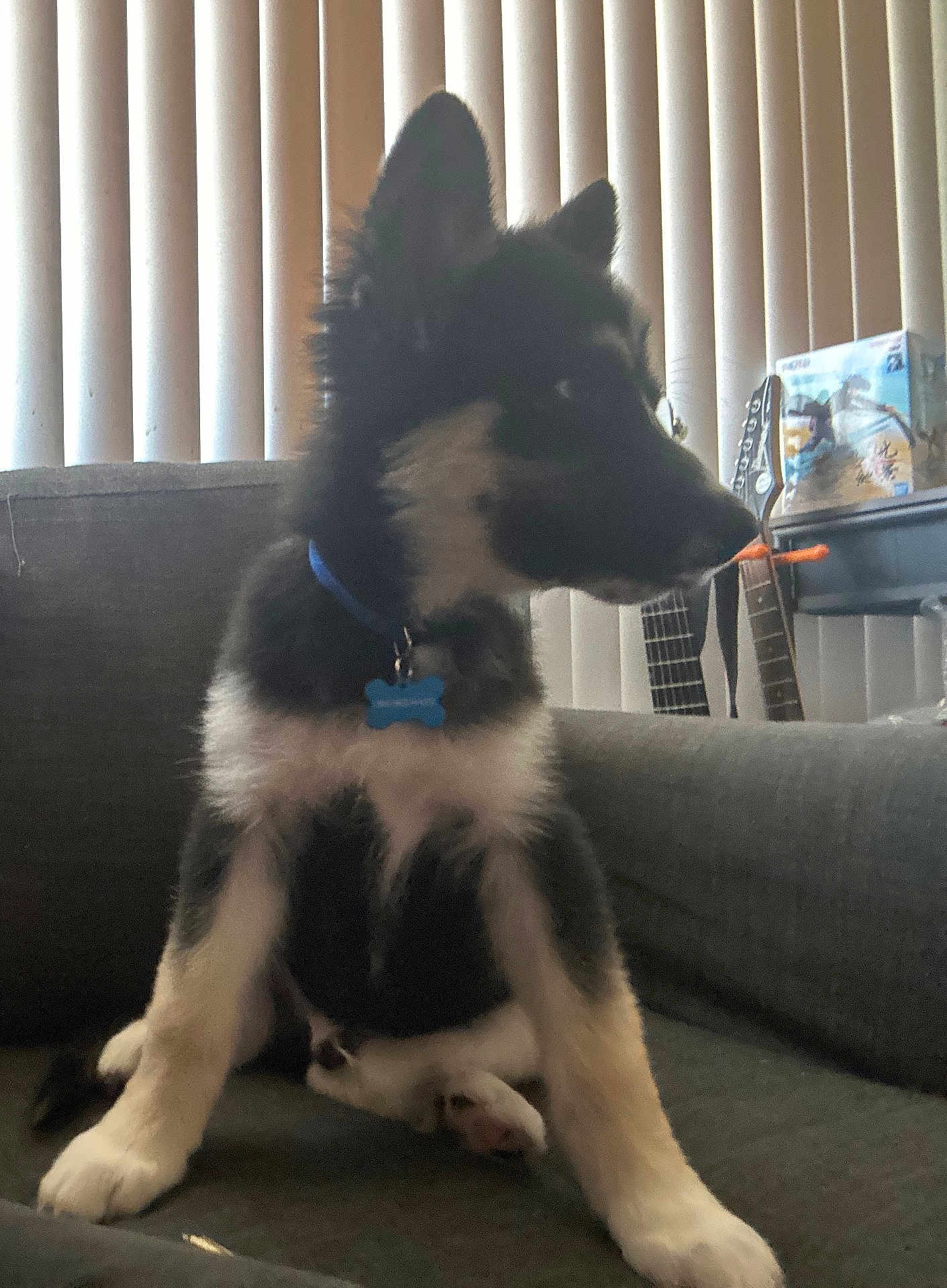 Milo