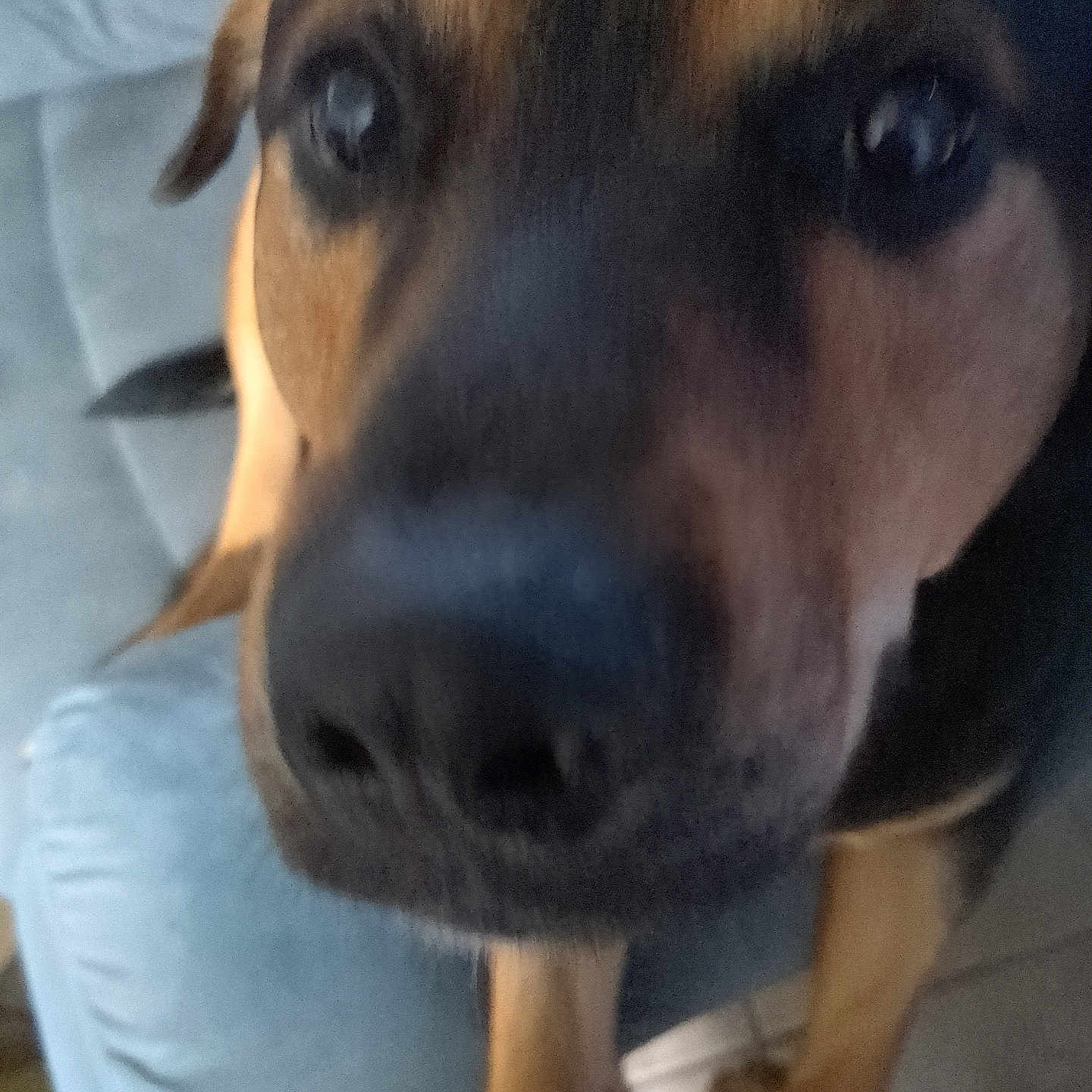 Zeus