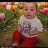 baby, child, curious, cute, face, flowers, garden, grass, happy, innocent, nature, outdoor, plants, portrait, red_pants, sitting, spring, tulips, white_shirt, young