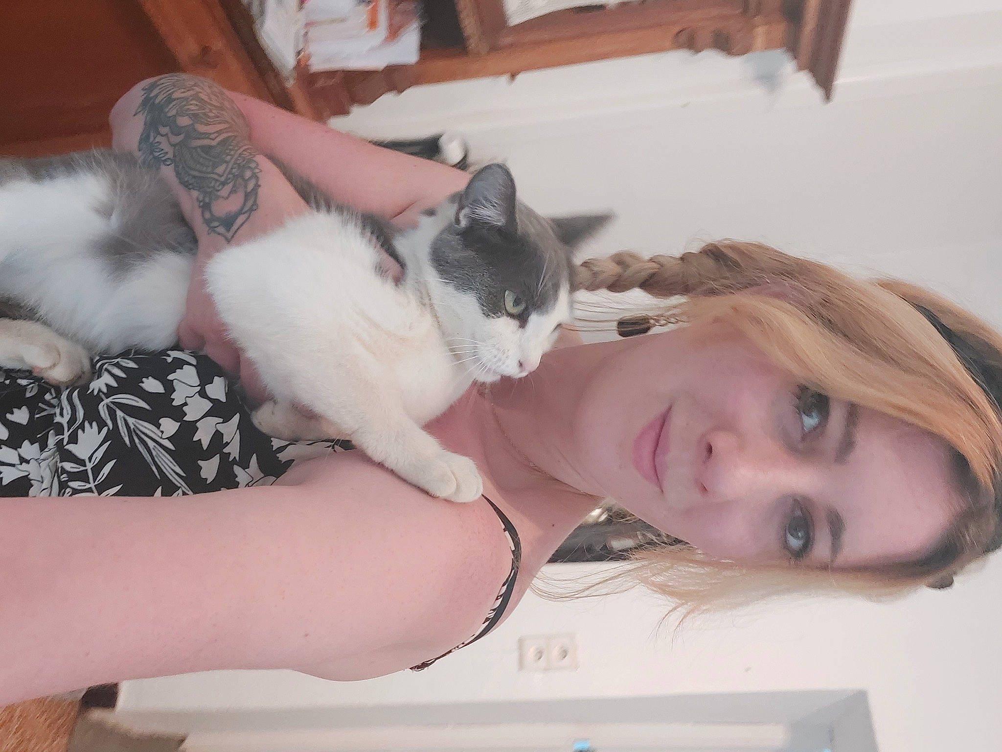 Joy a rejoint le concours — aidez-le/la à gagner de superbes lots ! arm, carnivore, cat, chest, comfort, domestic_short_haired_cat, eyelash, felidae, fur, gesture, jaw, lap, makeover, nail, paw, small_to_medium_sized_cats, smile, sunglasses, whiskers, wrist