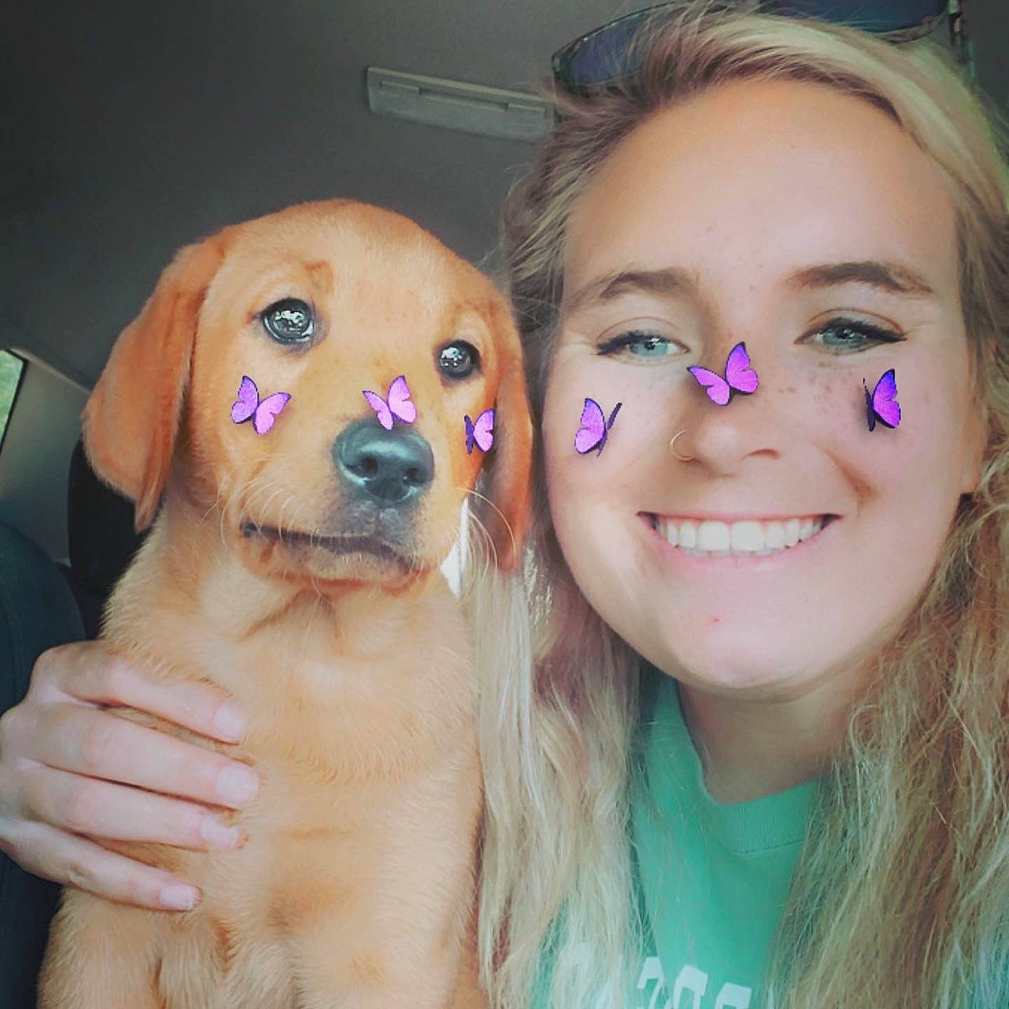 Riggs joined the competition — help win amazing prizes! carnivore, cheek, companion_dog, dog, dog_breed, ear, eye, eyebrow, eyelash, gesture, hair, hand, happy, iris, jaw, lip, mouth, nose, skin, smile
