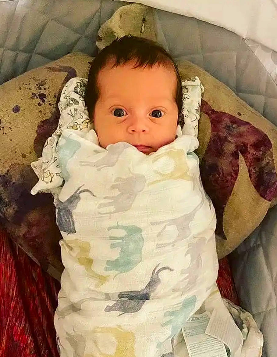 Daphne is registered to the contest to win money with this photo: arm, baby, baby_toddler_clothing, cheek, comfort, dress, eyelash, face, hairstyle, head, human_body, lip, neck, nose, outerwear, person, product, skin, sleeve, textile