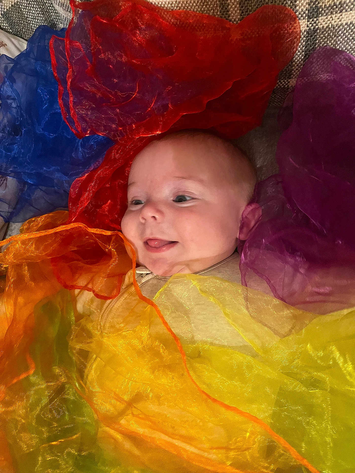 Evan joined the competition — help win amazing prizes! baby, child, face, smile, tongue, colorful, fabric, sheer, texture, portrait, happy, cute, infant, wrapped, soft, closeup, indoors, playful, multicolor, person