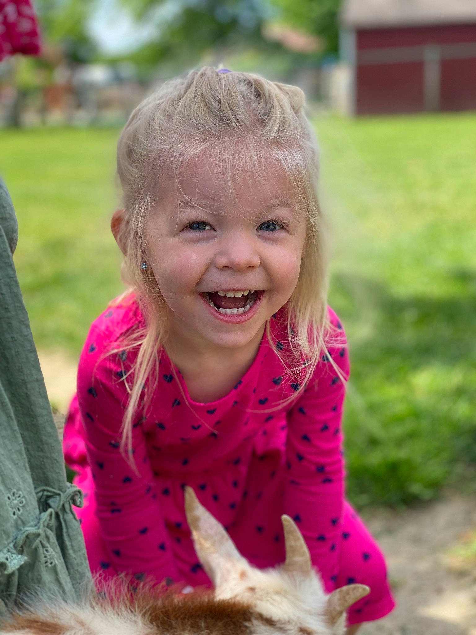 Navy Mae is registered to the contest to win money with this photo: blond, child, dress, event, facial_expression, fun, grass, happy, iris, joy, laugh, leisure, magenta, people_in_nature, person, pink, plant, recreation, sitting, smile