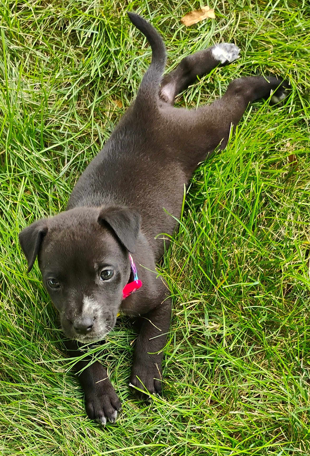 Hunter