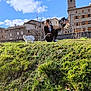 Mïyou participe au concours pour gagner de l'argent avec cette photo : adult, animal, architecture, bear, building, face, female, grass, head, house, housing, neighborhood, outdoors, person, photography, plant, portrait, shelter, villa, woman