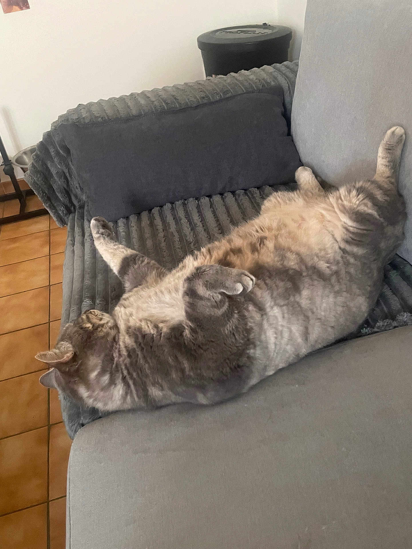 Mïyou