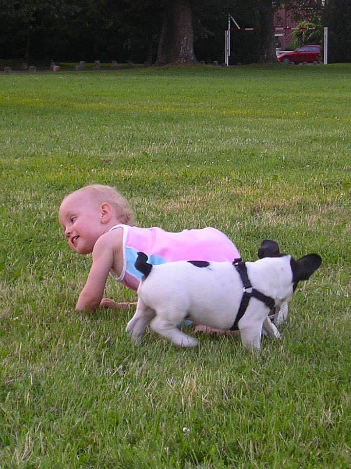 Ary participe au concours pour gagner de l'argent avec cette photo : baby, baby_toddler_clothing, carnivore, child, companion_dog, dog, dog_breed, field, grass, grassland, grazing, happy, lawn, livestock, meadow, pasture, plant, recreation, tail, toddler