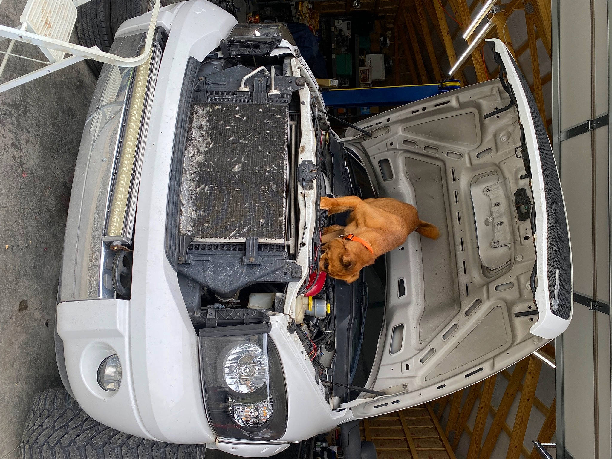 Ashen joined the competition — help win amazing prizes! automotive_design, automotive_exterior, automotive_lighting, automotive_parking_light, automotive_tire, automotive_wheel_system, bumper, car, commercial_vehicle, engineering, fender, gas, grille, hood, motor_vehicle, rim, tire, vehicle, vehicle_door, wheel