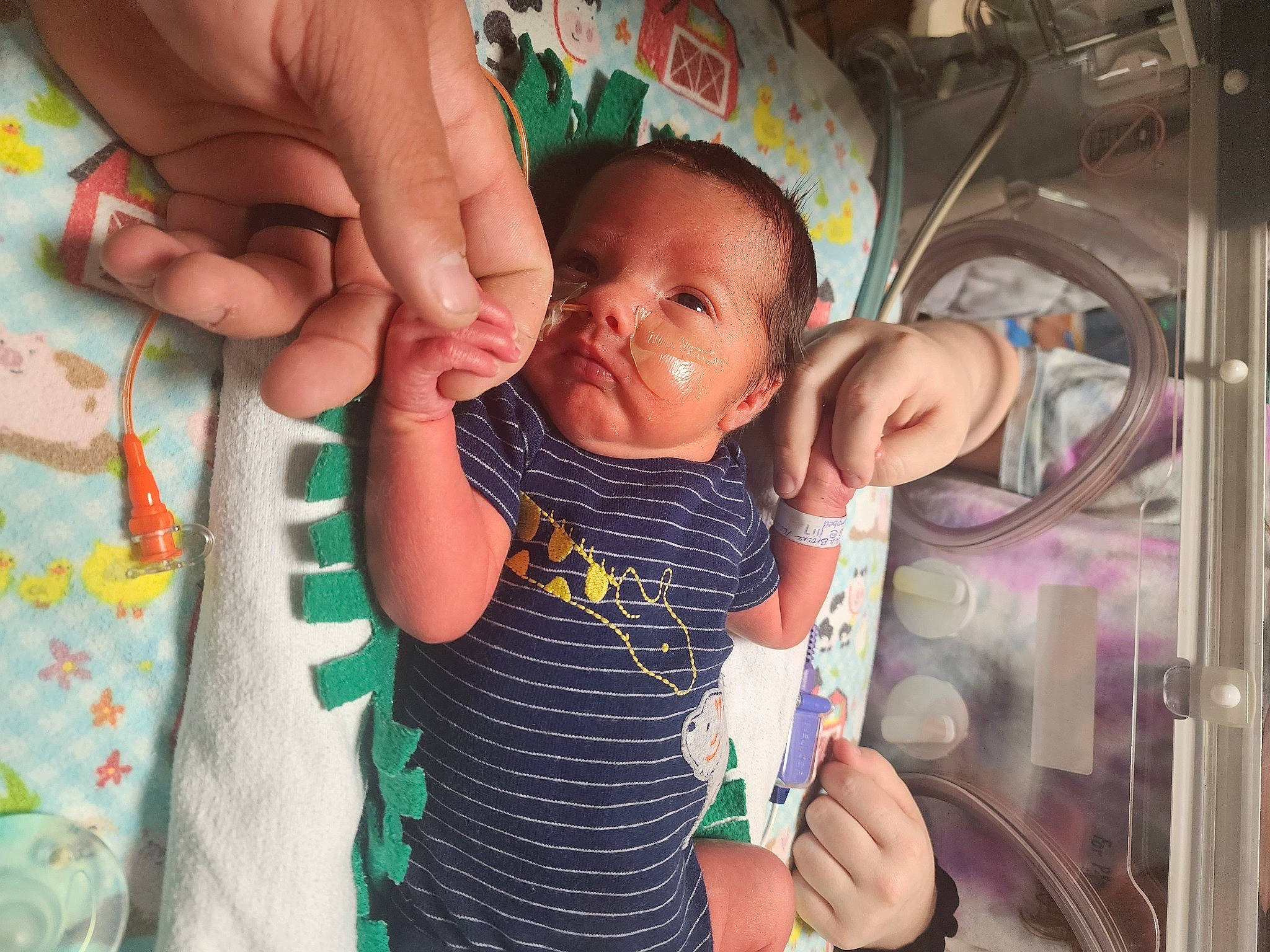 Emmett is registered to the contest to win money with this photo: baby, baby_toddler_clothing, cheek, child, finger, fun, gesture, hand, happy, iris, nail, nose, organ, person, product, room, skin, t_shirt, textile, thumb