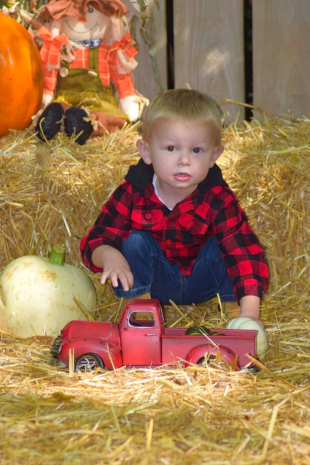 Stryker joined the competition — help win amazing prizes! baby, baby_toddler_clothing, calabaza, child, christmas, christmas_decoration, cucurbita, event, fun, gourd, grass, mammal, people, people_in_nature, person, plant, pumpkin, toddler, vertebrate, winter_squash