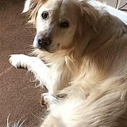 Sammy is registered to the contest to win money with this photo: